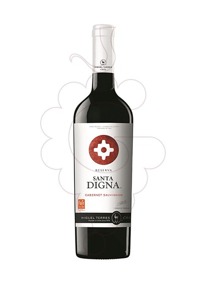 Torres Santa Digna Sauvignon Blanc Reserva 2011