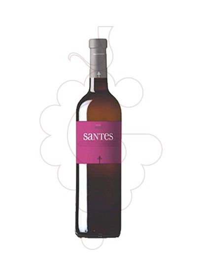 Santes rosado 2010