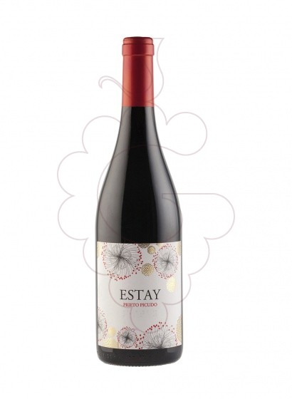 Estay 2010